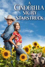 A Cinderella Story: Starstruck 2021 on netflix