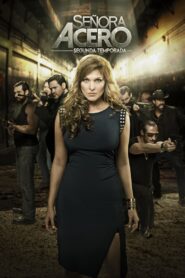 Senora Acero 2014 on netflix