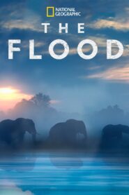 The Flood 2018 on netflix