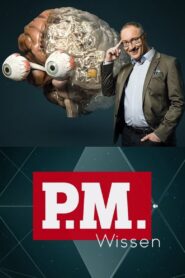 P.M. Wissen 2018 on netflix