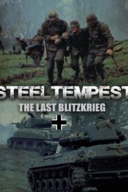 Steel Tempest 2000 on netflix