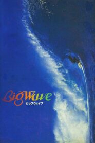 Big Wave 1984 on netflix