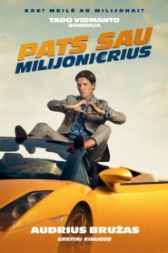 Fake Millionaire 2019 on netflix