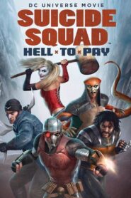 Suicide Squad: Hell to Pay 2018 on netflix