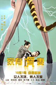 A Tiger Wife 2015 on netflix