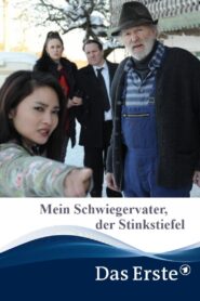 Father-Out-Law 2015 on netflix