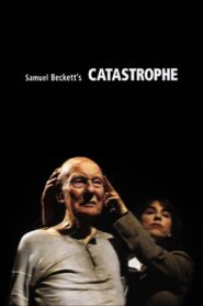 Catastrophe 2001 on netflix