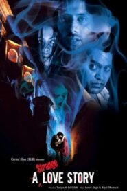 A Strange Love Story 2011 on netflix