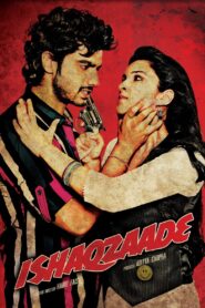Ishaqzaade 2012 on netflix
