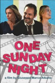 Una domenica notte 2014 on netflix
