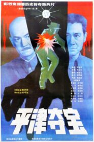 东陵大盗（二） 1987 on netflix