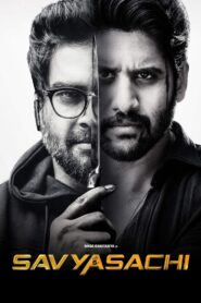 Savyasachi 2018 on netflix