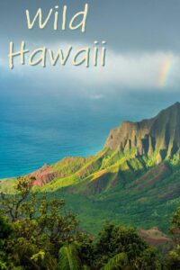 Wild Hawaii 2012 on netflix