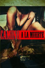 Camino a la Muerte 2003 on netflix