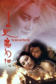 The Bride with White Hair 1993 on netflix