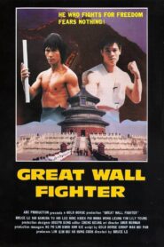 Fire on the Great Wall 1990 on netflix