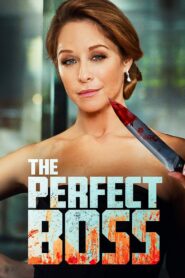 The Perfect Boss 2013 on netflix