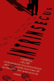 Intrinsecus 2017 on netflix