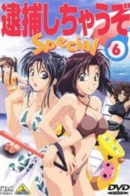 You’re Under Arrest! Diverting Traffic at the Beach 1997 on netflix