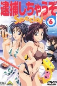 You’re Under Arrest! Diverting Traffic at the Beach 1997 on netflix