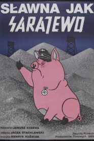 Famous Like Sarajevo 1988 on netflix