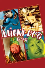 Lucky Dog 2008 on netflix