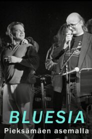 Bluesia Pieksämäen asemalla 2013 on netflix