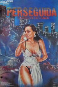 Perseguida 1991 on netflix