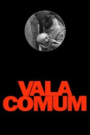 Vala Comum 1994 on netflix