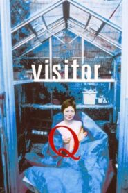 Visitor Q 2001 on netflix