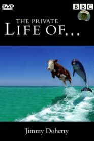 The Private Life of… 2010 on netflix