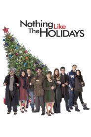 Nothing Like the Holidays 2008 on netflix