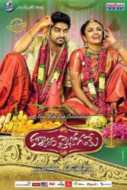 Kalyana Vaibhogame 2016 on netflix