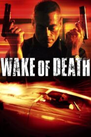 Wake of Death 2004 on netflix
