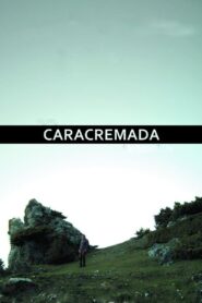 Burnface 2010 on netflix