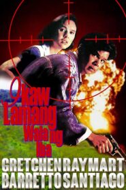 Ikaw Lamang, Wala ng Iba 1994 on netflix