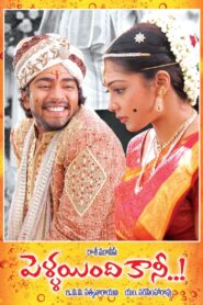 Pellaindi Kaani 2007 on netflix