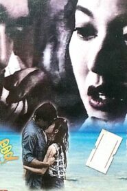 Goodbye My Romance 1994 on netflix