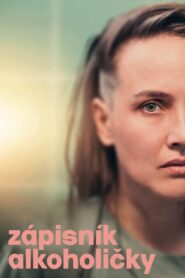 Diary of an Alcoholic 2024 on netflix