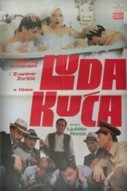 A Mess in the House 1980 on netflix