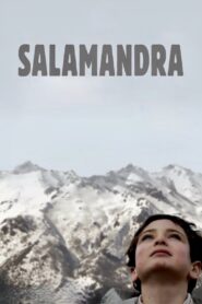 Salamander 2008 on netflix