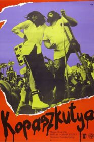 Bald Dog Rock 1981 on netflix