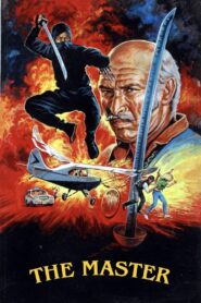 Master Ninja 1984 on netflix