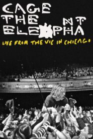 Cage the Elephant: Live from the Vic in Chicago 2012 on netflix