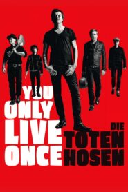 You Only Live Once: Die Toten Hosen on Tour 2019 on netflix