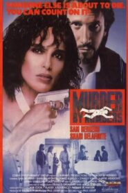 Murder by Numbers 1990 on netflix