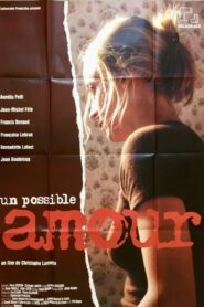 Un possible amour 2000 on netflix
