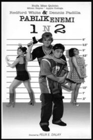 Pablik Enemi 1 n 2: Aksidental Heroes 1997 on netflix