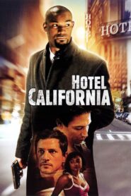 Hotel California 2008 on netflix