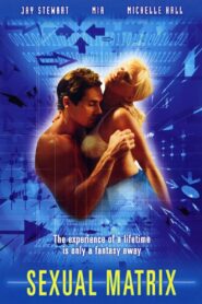 Sexual Matrix 2000 on netflix